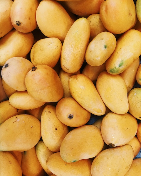 Invest in Mangoes Agroforestry